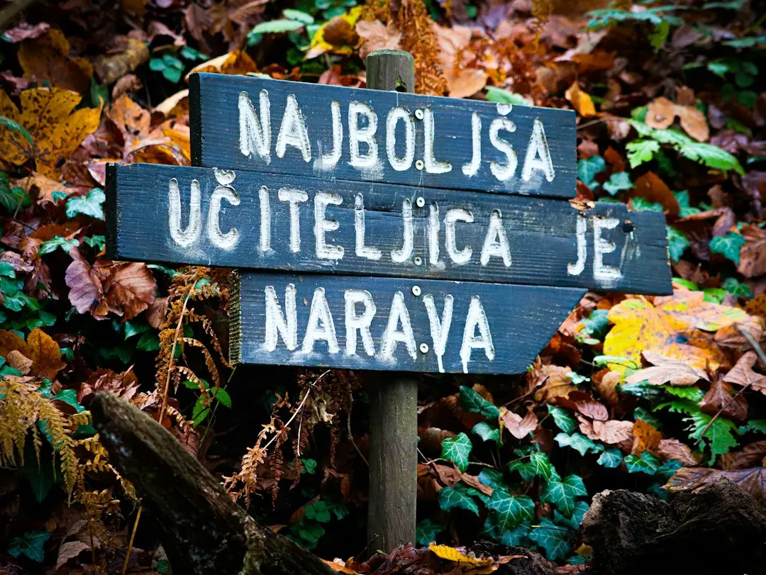 Cum ți-a salvat un AI noaptea, în drum spre o seară de jocuri